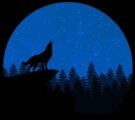 hd wallpaper, nature wallpaper, wolf-2309829.jpg